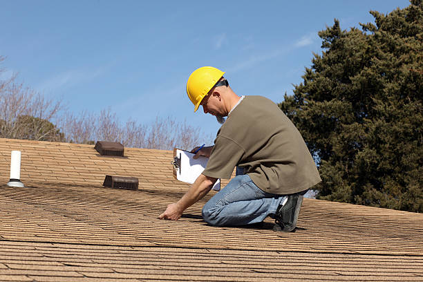 Trusted Arlington, MN Roofing services Experts